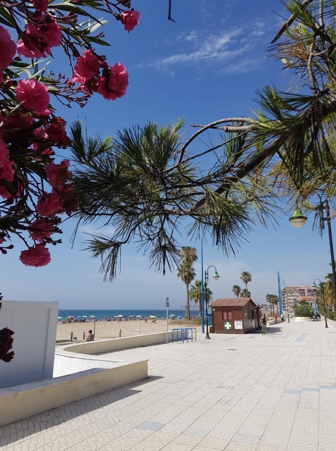 "Vero Vijola" In Torrevieja Exteriör bild